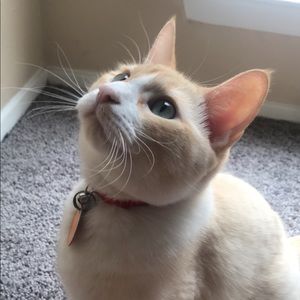 Meet your Posher, Catherine